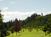 Hole11