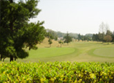 Hole11