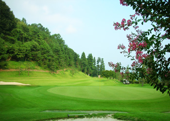 Hole12