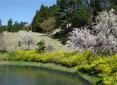 Hole14
