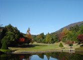 Hole15