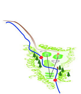 Hole17