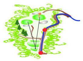 hole8