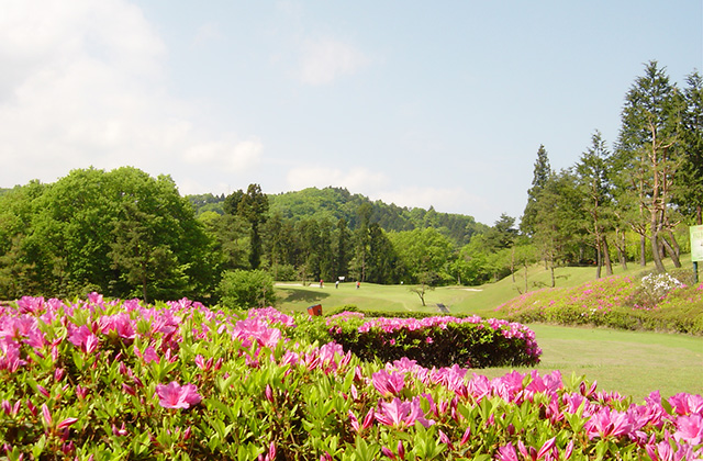 コースの風景